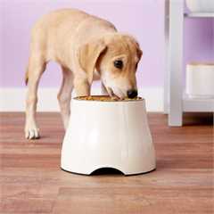 Dogit Elevated Dog Bowl - Large 900ml
